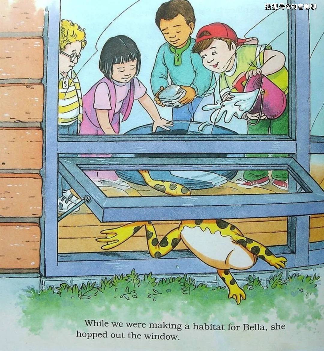 美国国家图书馆推荐的科普绘本,神奇校车英语科普绘本