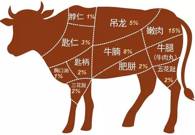 牛肉分布图高清 图示图片
