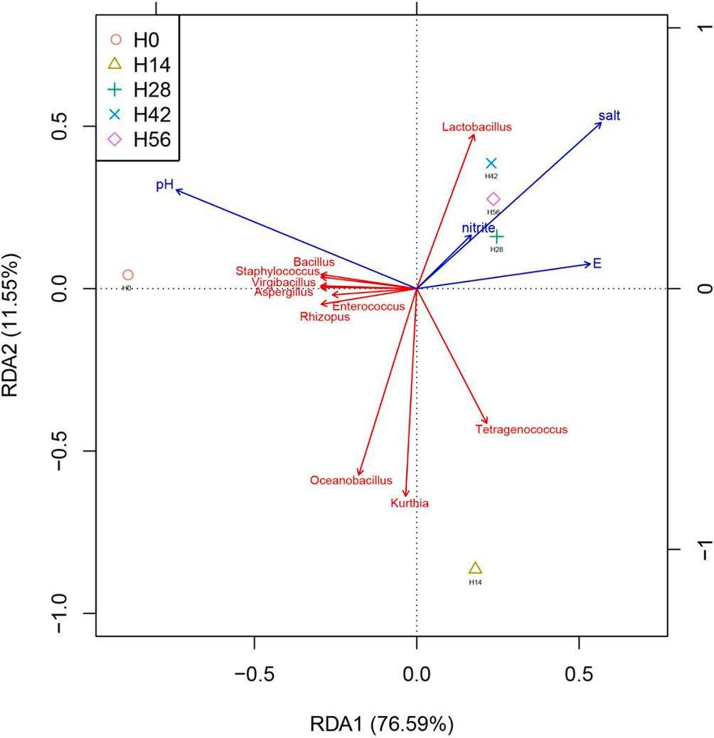r档位是什么意思,RDA r档位是什么意思,RDA
