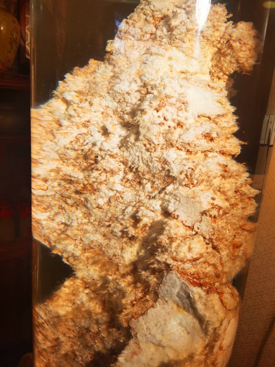 始皇石太岁水的功效