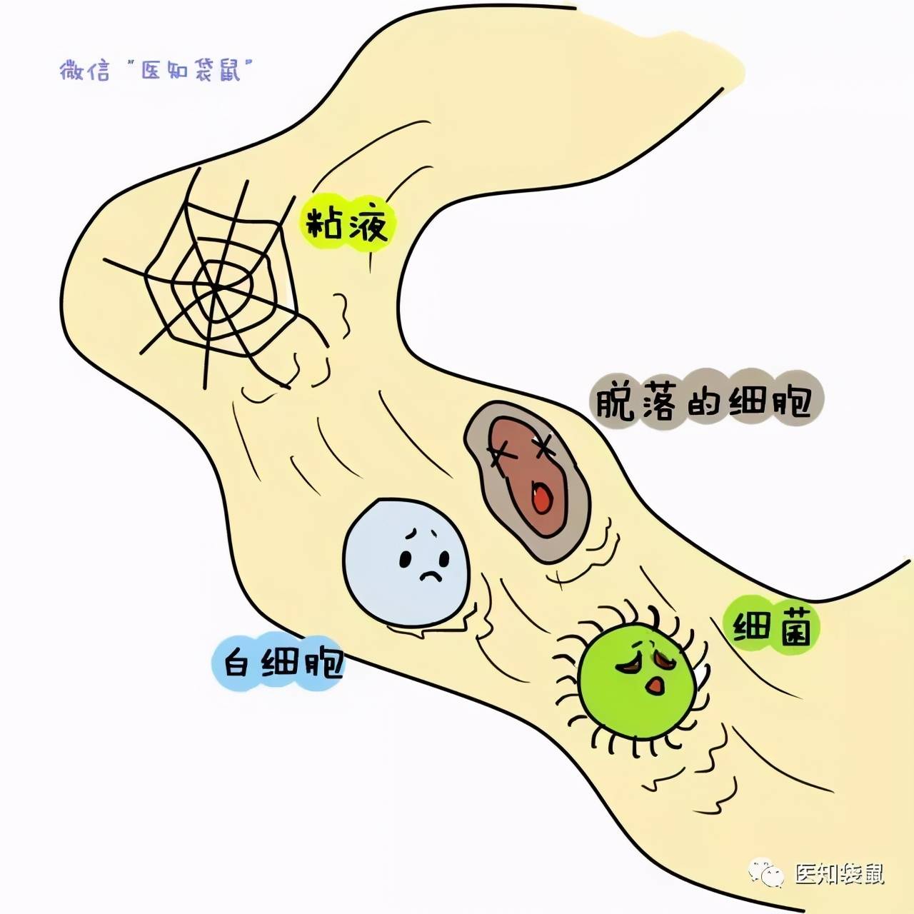 怀孕刚着床的6个反应_着床反应大_怀孕反应着床需要多久