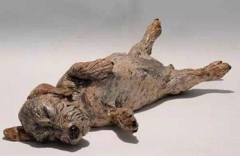 原创他花了30年时间把无人问津的朽木雕成了活灵活现的动物