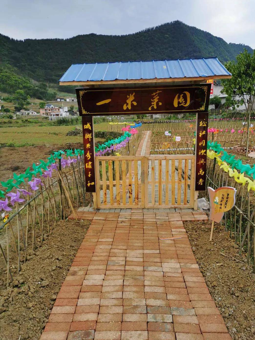 创建天府旅游名县四川兴文一米菜园带你领略田园风光体验农耕乐趣