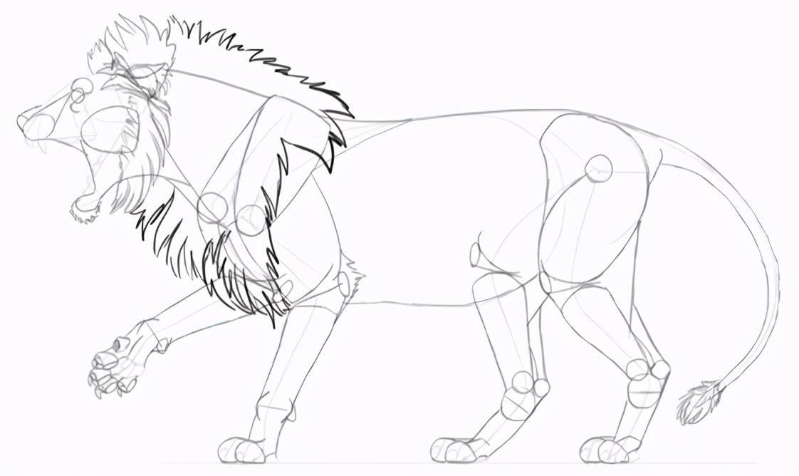 手绘初学者如何画咆哮的狮子?绘画入门基础绘制教程!