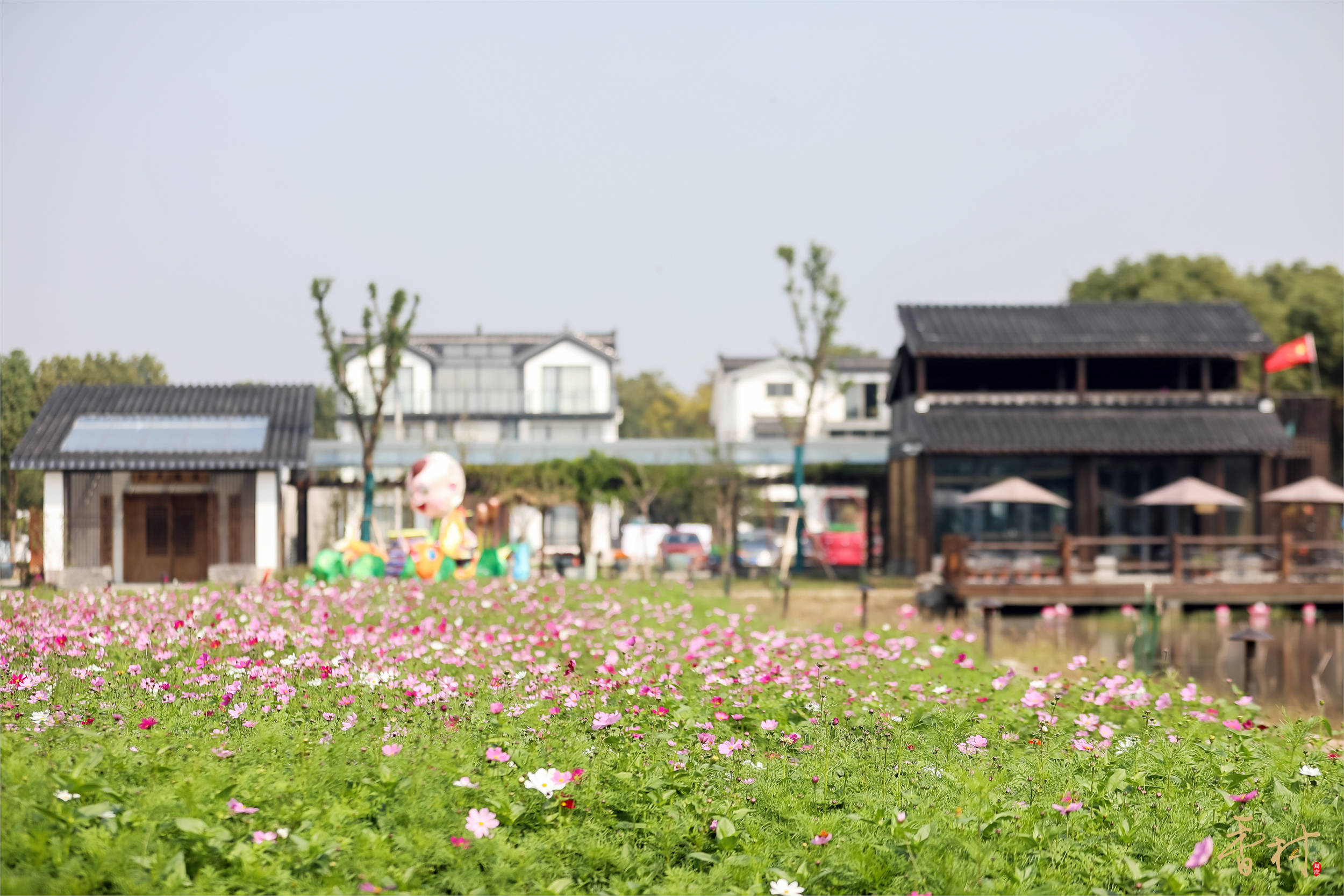 两天一晚玩转周庄古镇在香村61祁庄体验乡村田园慢生活