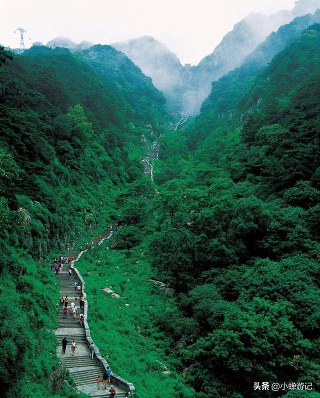 从五元人民币背面图案，中国五岳之首泰山来说它有多壮观有多美！