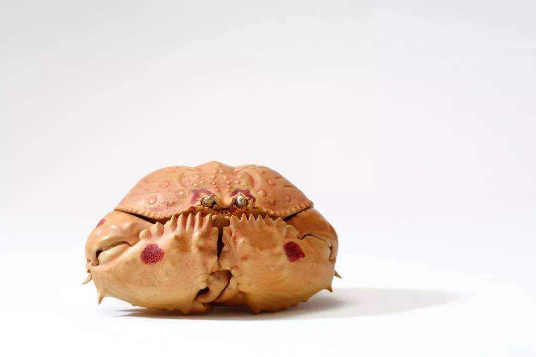 原创动物界的老王馒头蟹为什么会抱走别人的老婆