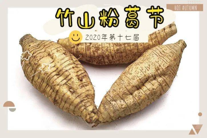 25上午地址:佛冈县汤塘镇竹山村"竹山粉葛"具有清甜,无渣,口感好等