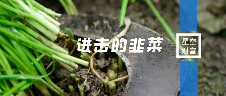从韭菜到"钉子户",散户该如何抄作业?