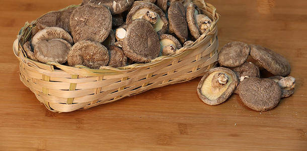 陕西宁陕山林身处的致富山珍