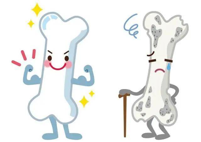 不少年轻人认为:小孩子才需要「补钙」,因为要长高;老年人也需要补钙!