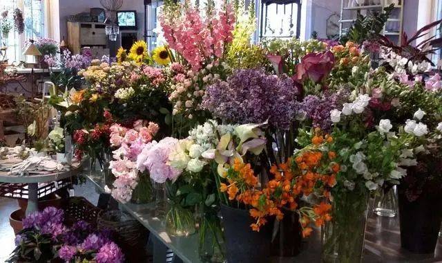 团团站-毫无名气的花店,做了一场砍价活动后,人气暴增_玫瑰花