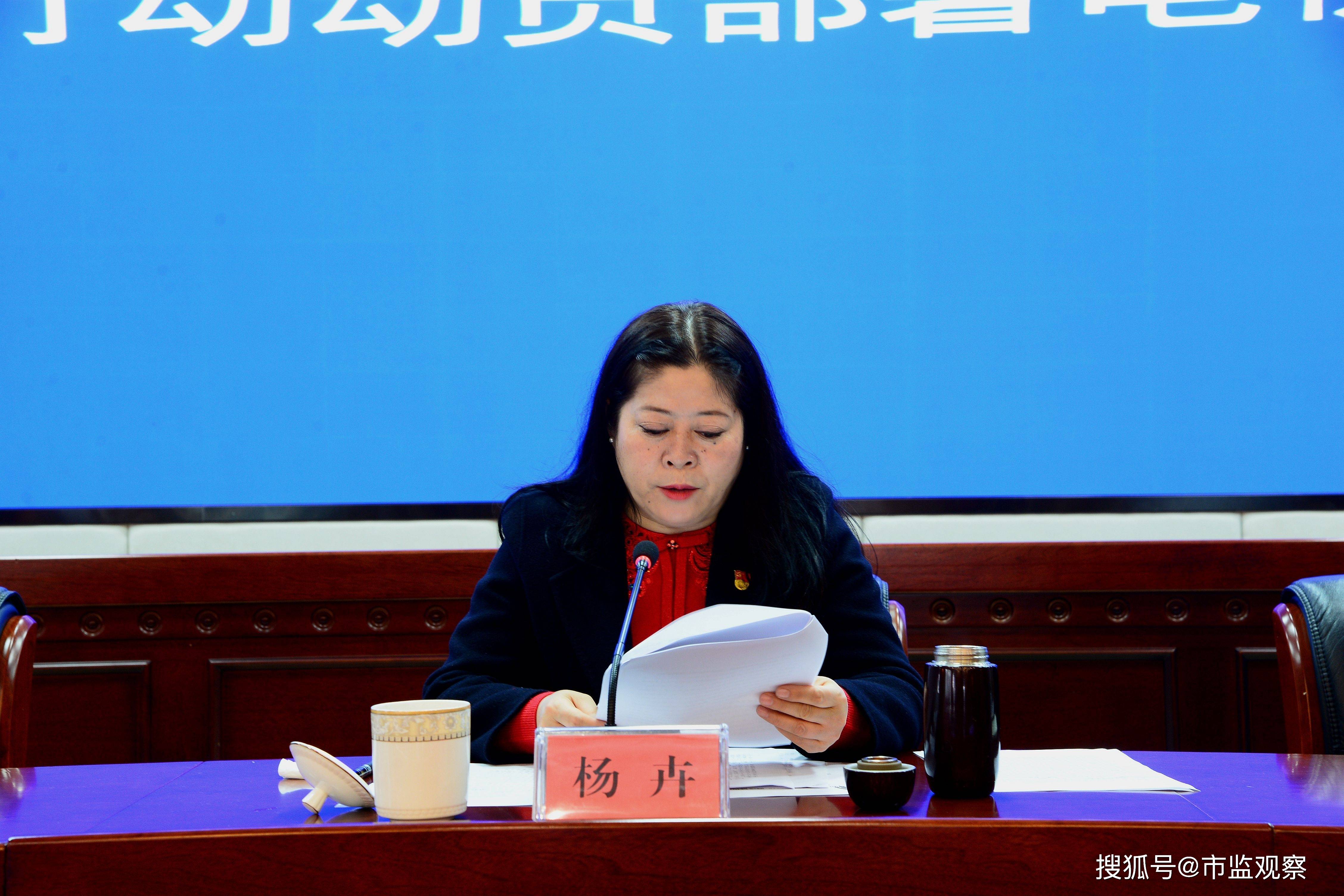 小组设立为州政府常设议事协调机构,十七个县(市)春雷行动小组组长