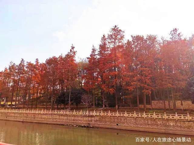 南京江宁竹山公园，美爆的免费赏枫景点，地处闹市却鲜为人知