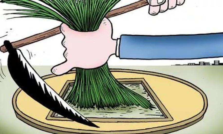 割韭菜,特斯拉车主不是最惨,这些神车都在收割,一刀割你十多万