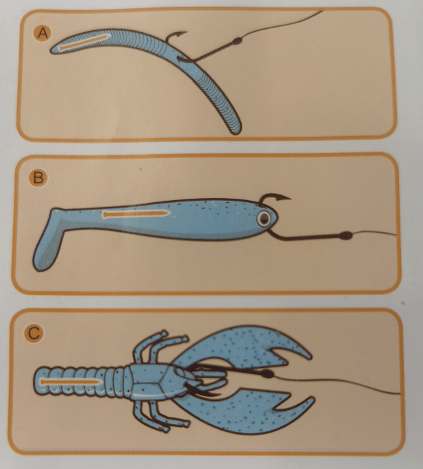 苗条,适合码头,入水走廊,睡莲和鲈鱼潜伏的洞穴中翻转(英文flipping)