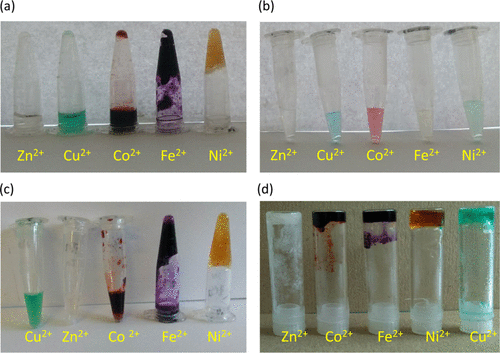 原创大分子瞬态金属配位自愈可塑型的聚恶唑啉超分子水凝胶