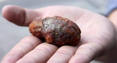 老农:不简单_牛黄