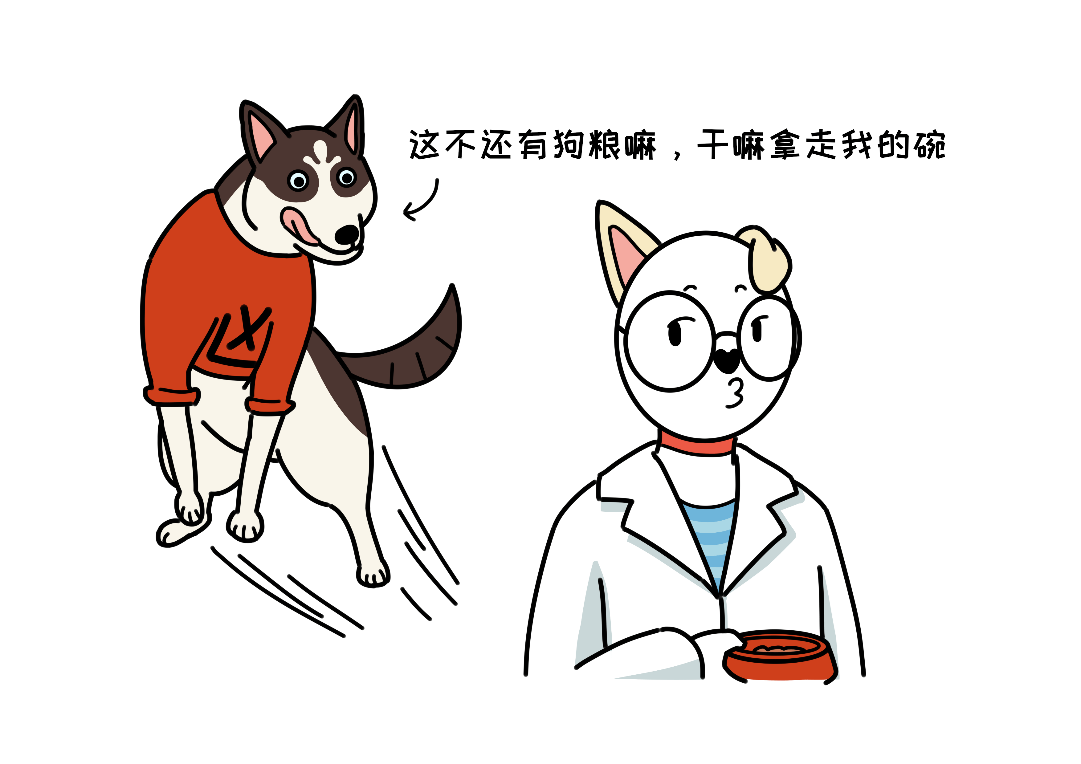 狗咬你并非看不惯你,可能以为你要抢它吃的!正确引导护食很重要-搜狐大视野-搜狐新闻