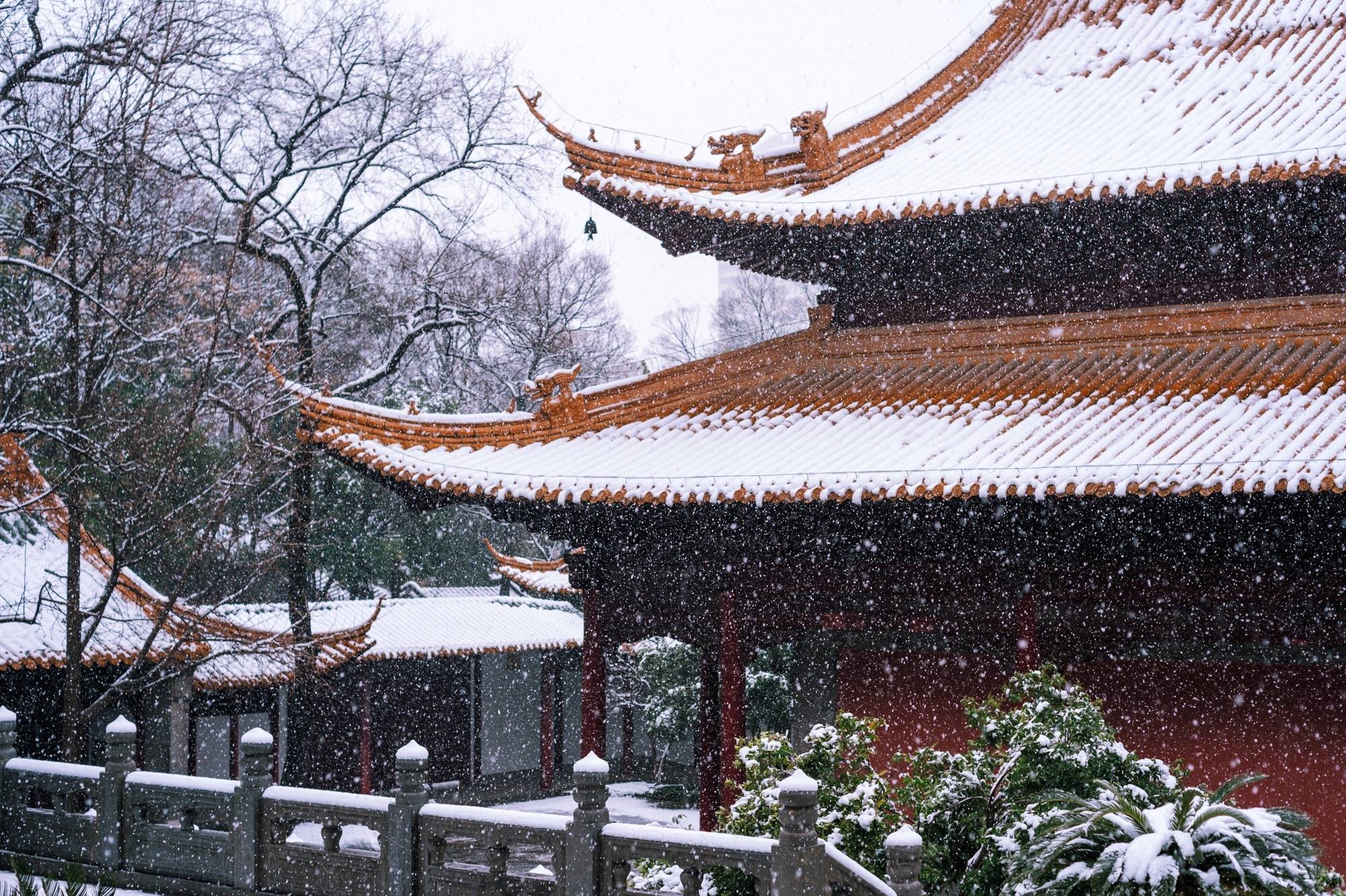 南京冬季景点图片