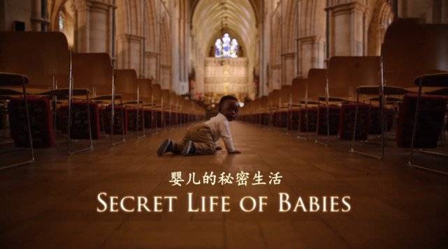 就像纪录片中所说,这是一道通往"婴儿世界"的震惊之门,会让新手爸妈更