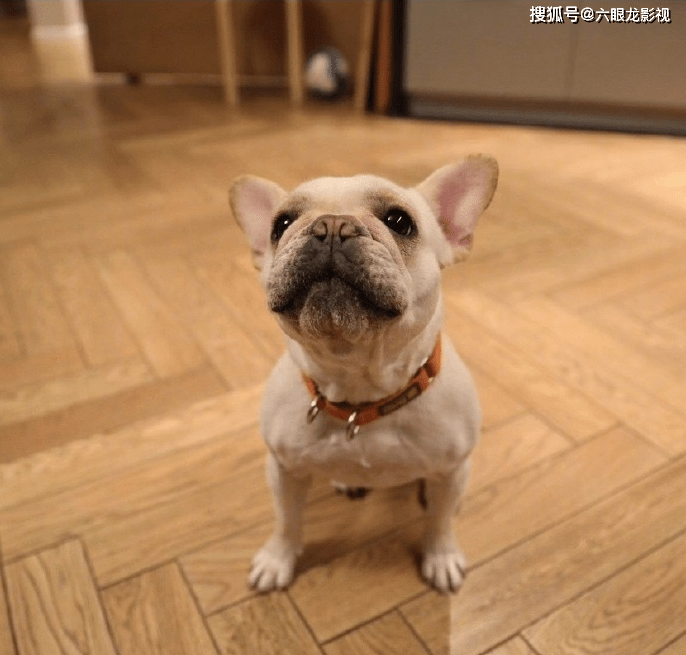 孙俪2020年终总结,暗示邓超别忘了10周年纪念礼物