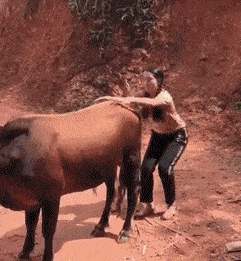 搞笑gif段子4我这雪糕味道不对呀