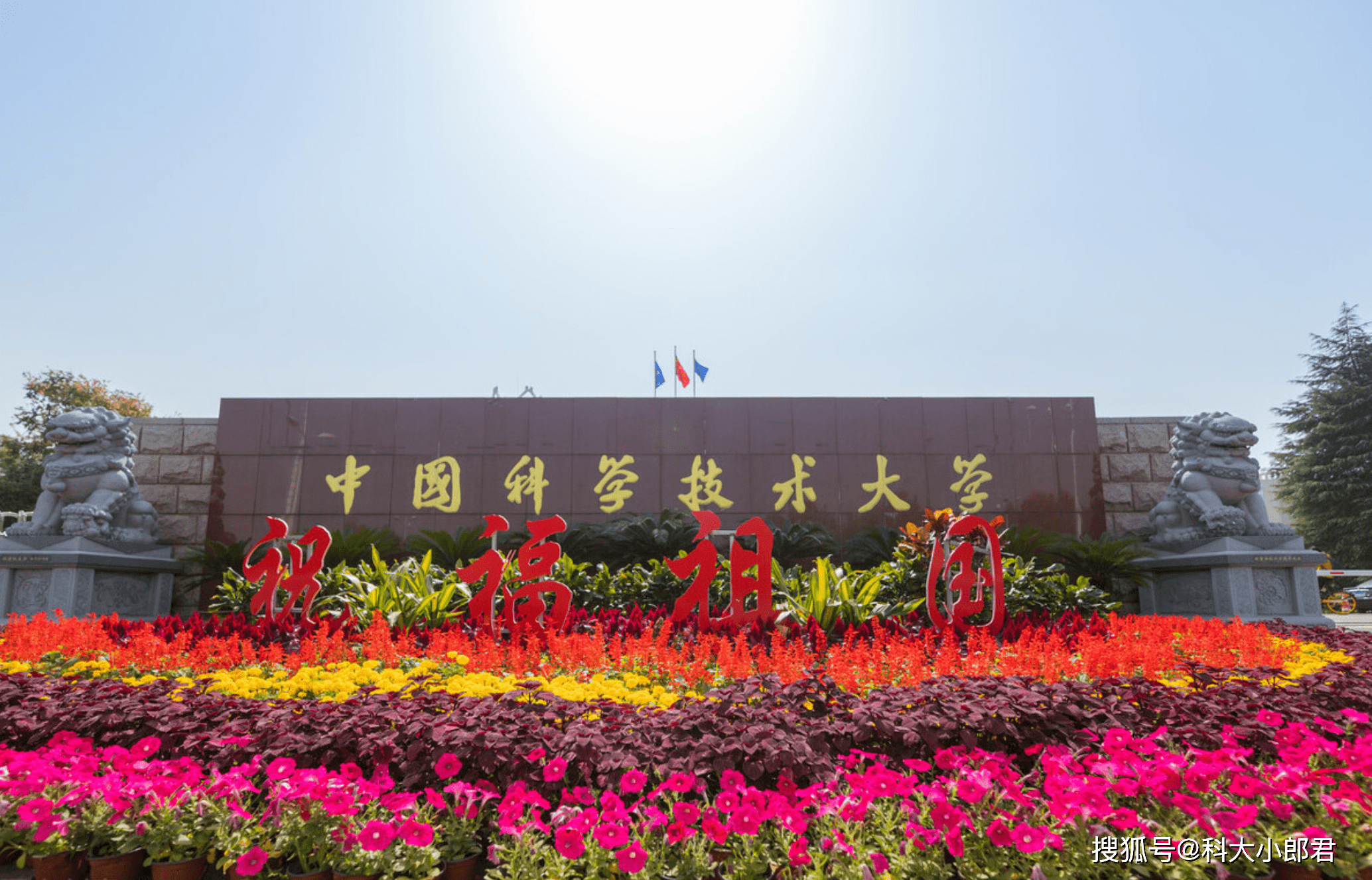 原创全国大学生数学竞赛中科大包揽安徽一等奖