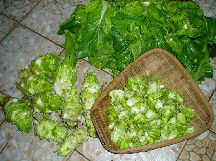 原创这菜一长一窝,样子有点"丑",却能助消化,是排毒瘦身的良药!