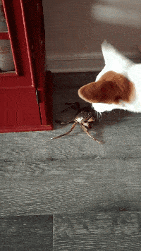 搞笑gif段子兄弟你背的什么包啊美女都把它当成垃圾桶了