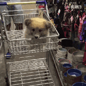 280_280gif 动态图 动图