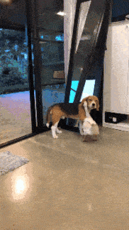 搞笑gif段子:敢影响我睡觉,就是这个下场