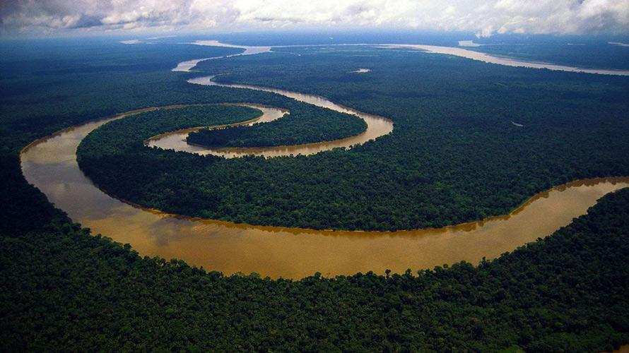 在亚马逊河洗澡超过1分钟会受到哪些生物攻击？