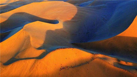 沙漠底下为何不能挖？因为除了沙子外，还有一些想象不到的东西！
