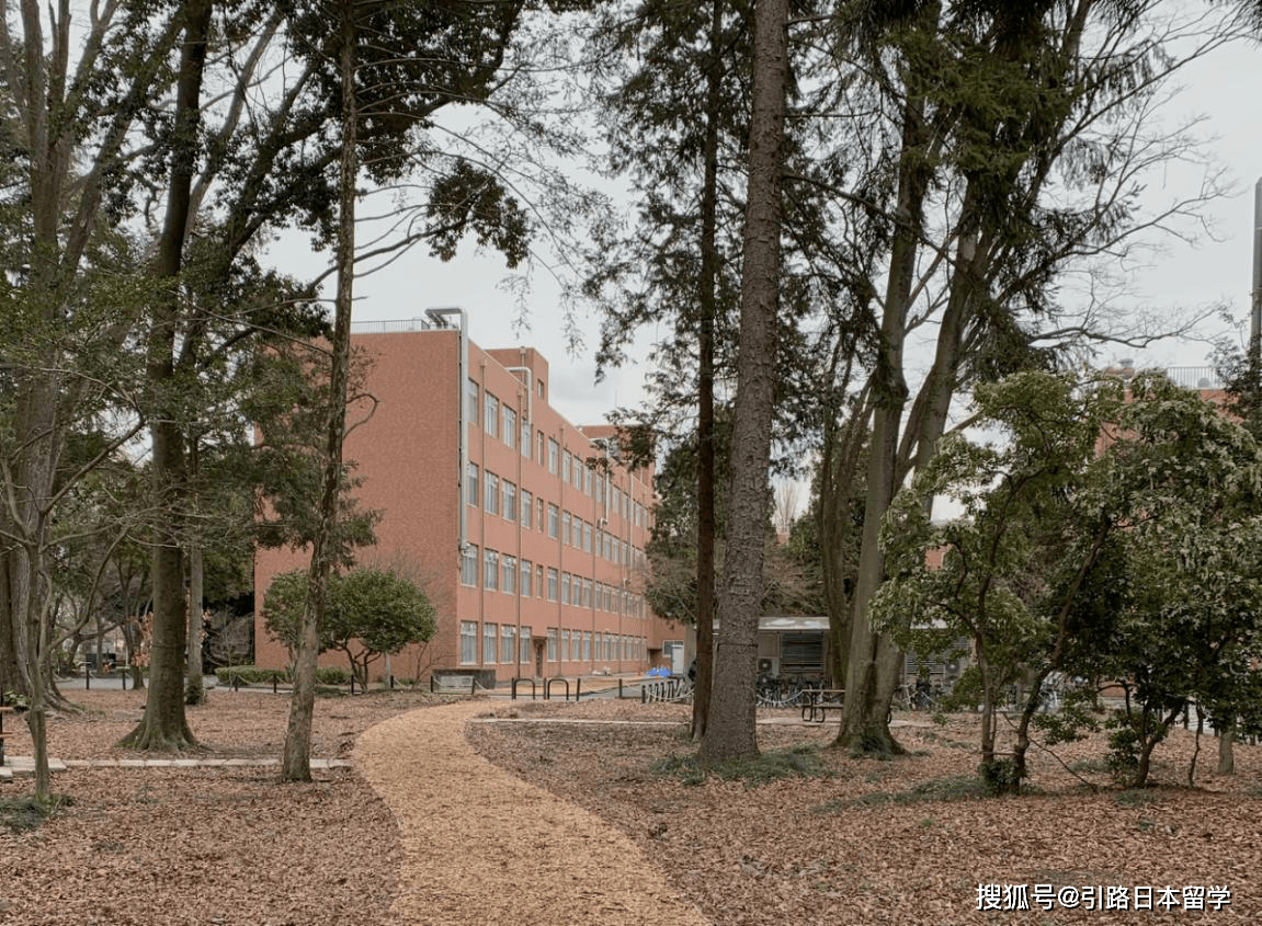 日本留学丨宇都宫大学读研留学经历