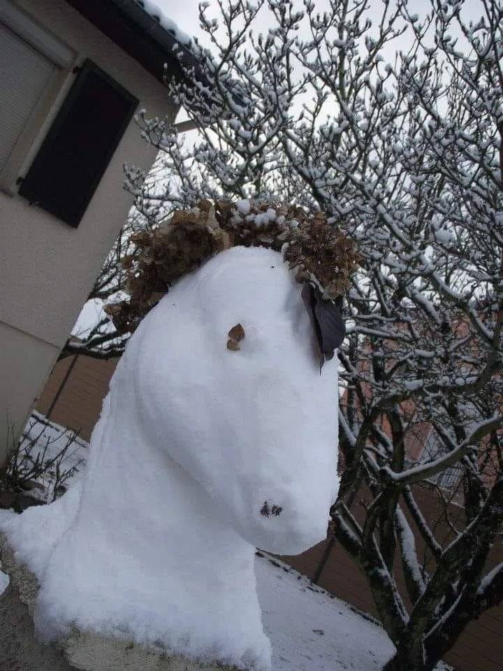 看外国友人如何玩堆雪人_grayou