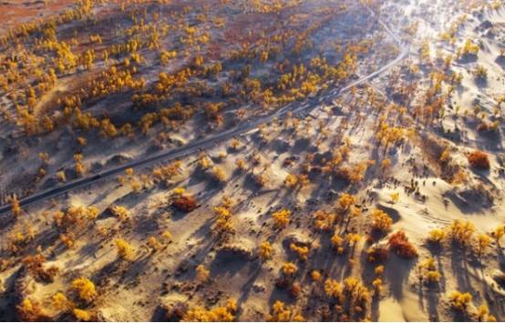 中国最大的沙漠，是中国的治沙奇迹，拥有新疆最丰富的地下资源