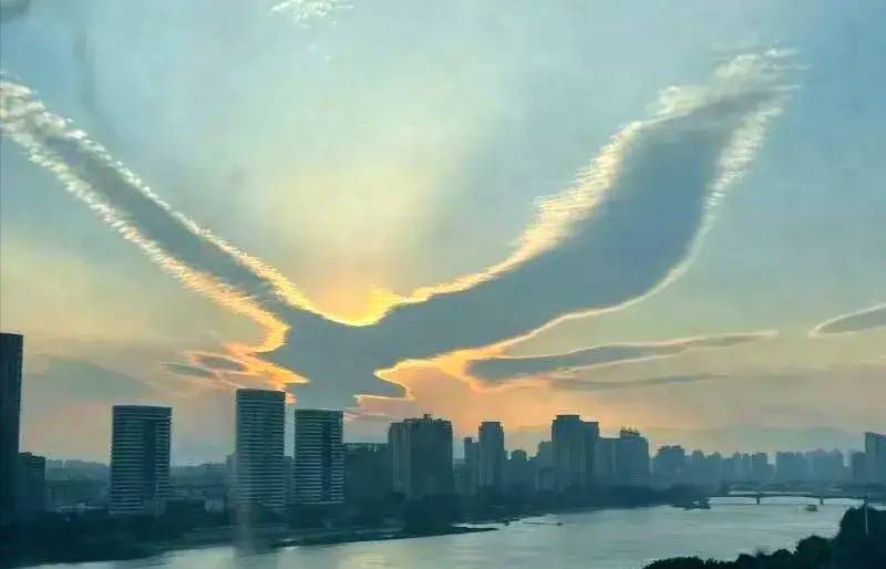 鯤鵬展翅,其翼若垂天之雲,莊子《逍遙遊》中景象在現實中出現了