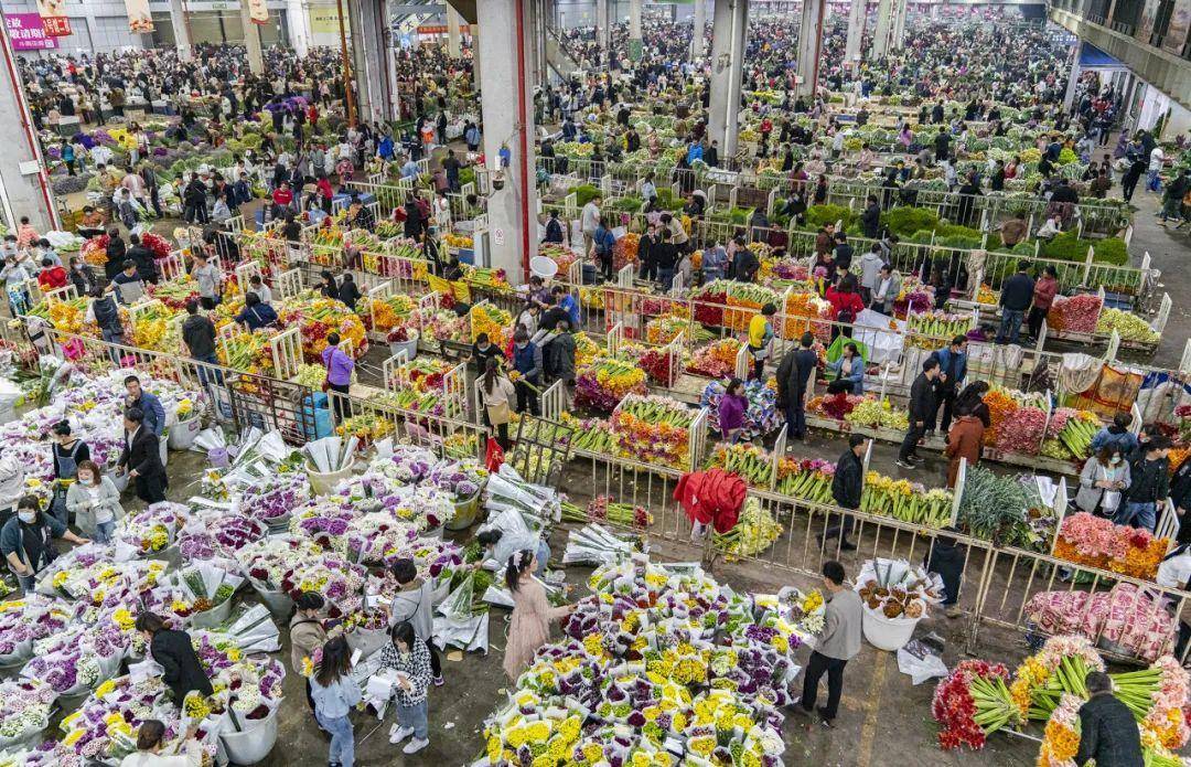 中国6大花市全国最大的花卉批发市场介绍