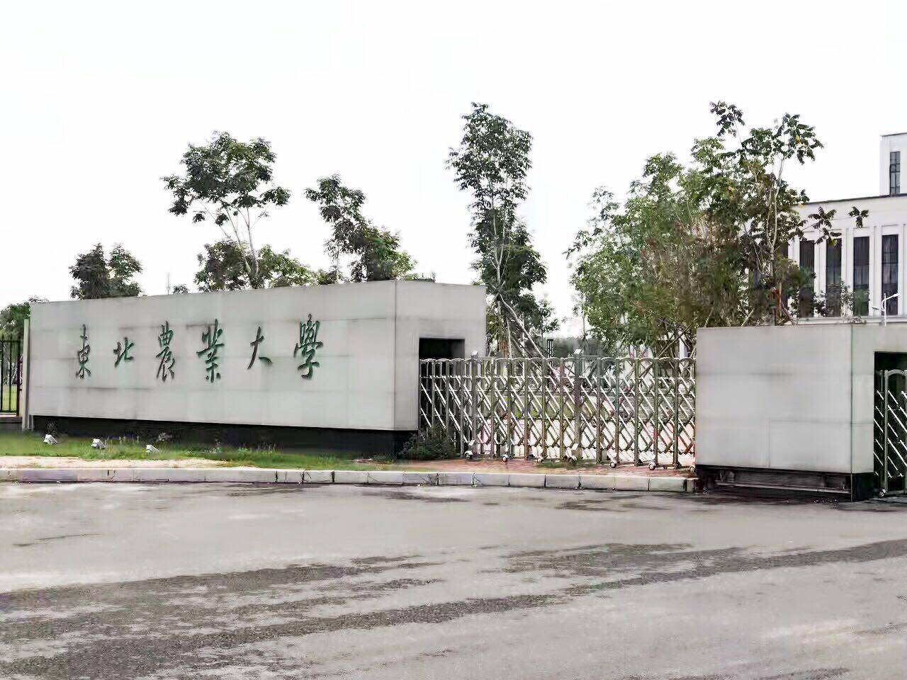 黑龙江省属,这里大家注意,东北林业大学和东北农业大学虽然都在哈尔滨