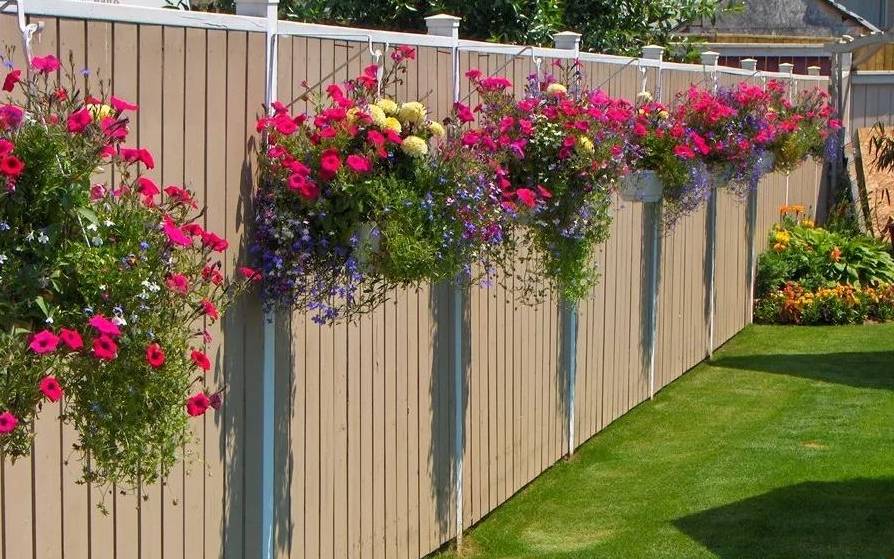 围栏上不种植物就太浪费了,看花友在墙上种满各种花卉