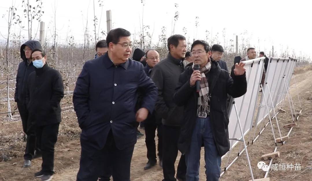 咸阳市副市长程建国一行赴铜川考察,集中参观青砧示范园