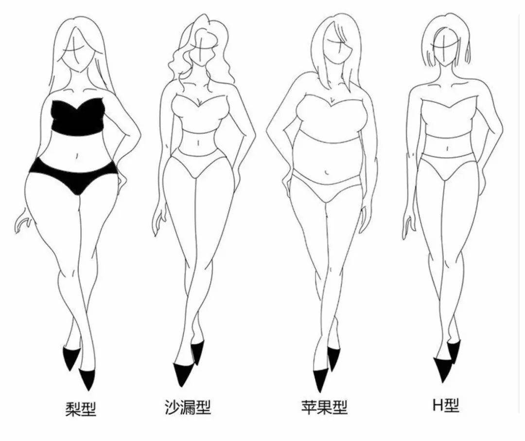 女生身材分类图片