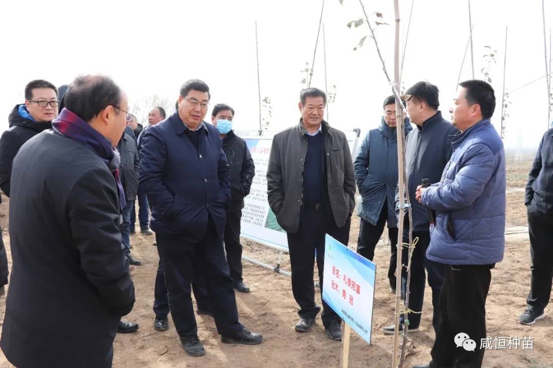 咸阳市副市长程建国一行赴铜川考察,集中参观青砧示范园