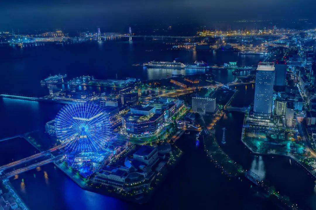  疫情是哪一年开始的封城了呢视频下载安装(疫情是哪一年开始的封城了呢视频下载安装)