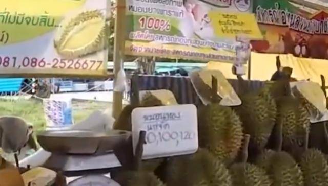 泰国的“露肉”榴莲不要买，过来人多次劝告也不听，涨知识了