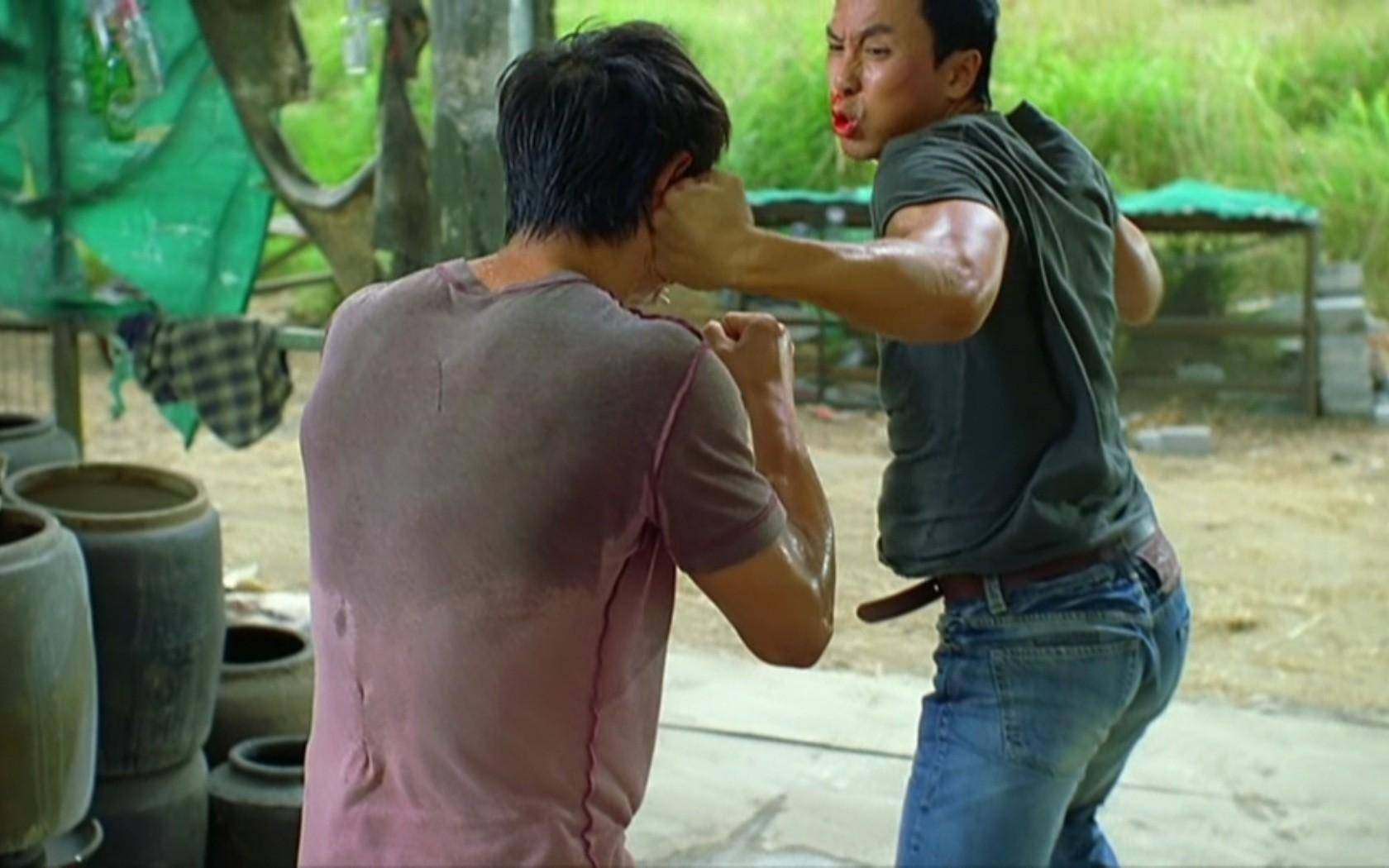 甄子丹精彩武斗电影盘点(3)