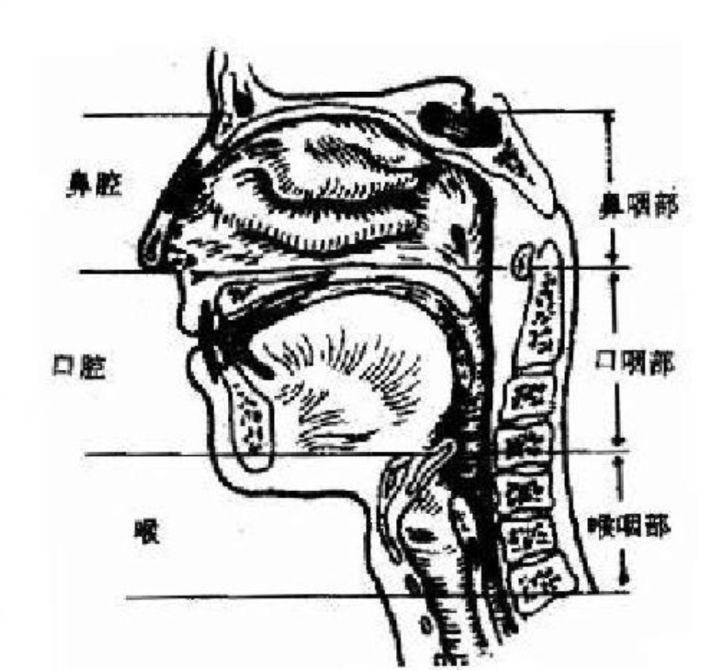 核酸检测嘴巴示意图图片