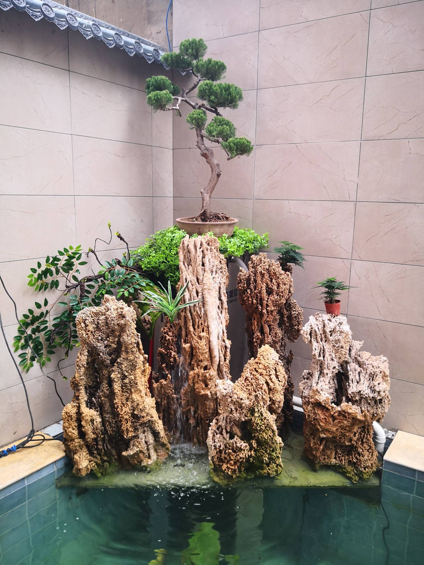 常见锦鲤鱼药的使用方法