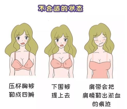 杯型:根據自己乳房形狀選擇合適的杯型.